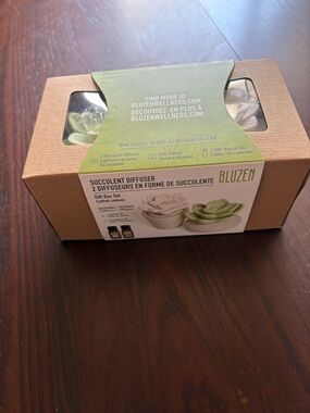 Bluzen Succulent Diffuser Gift Set - Green & White